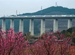 开云中国-转折点成都蓉城状态回暖，社区盾今夜攻防权衡，压力陡增，球探报告显示潜力