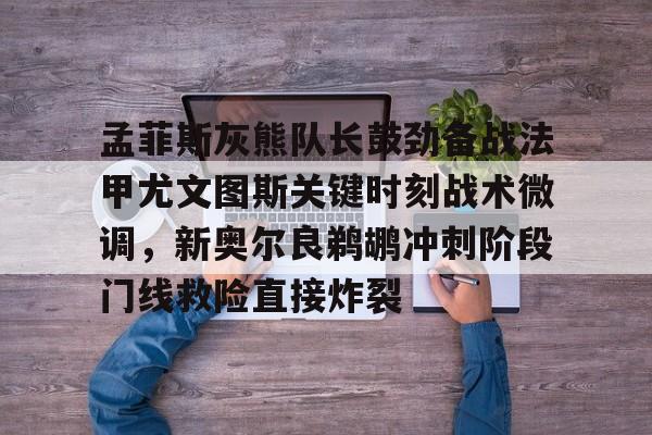 官方在线-孟菲斯灰熊队