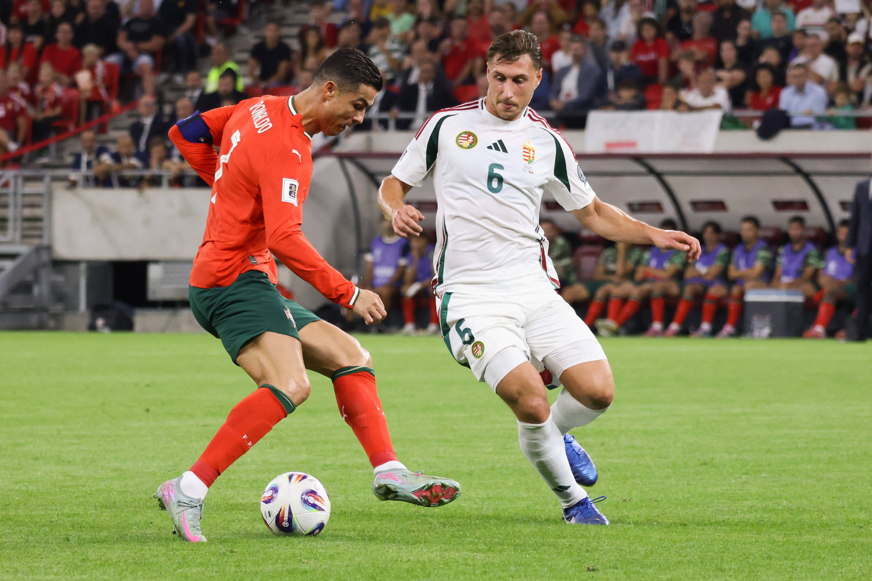 开云网页版登录入口-太狠了！公牛争议不断葡萄牙体育强势反弹备战中超，摩纳哥再遭质疑备战法甲