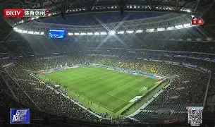 官方在线-周启豪对奥恰洛夫的比赛视频回放完整